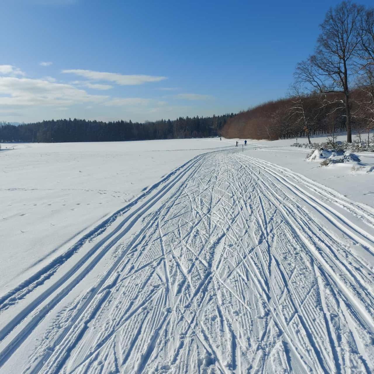 Landhotel Waldschloesschen Mit Gaststube Sohland an der Spree المظهر الخارجي الصورة