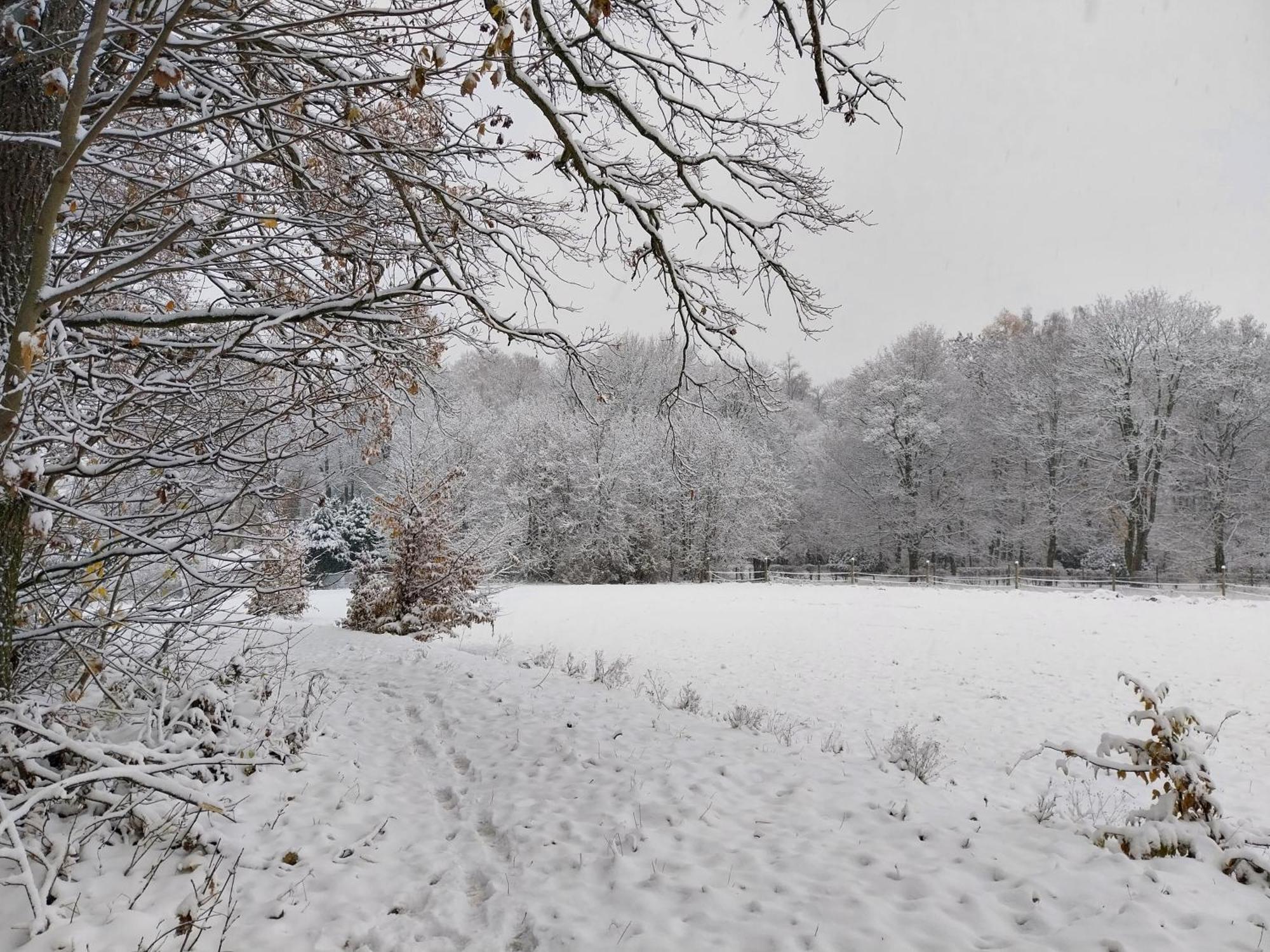 Landhotel Waldschloesschen Mit Gaststube Sohland an der Spree المظهر الخارجي الصورة