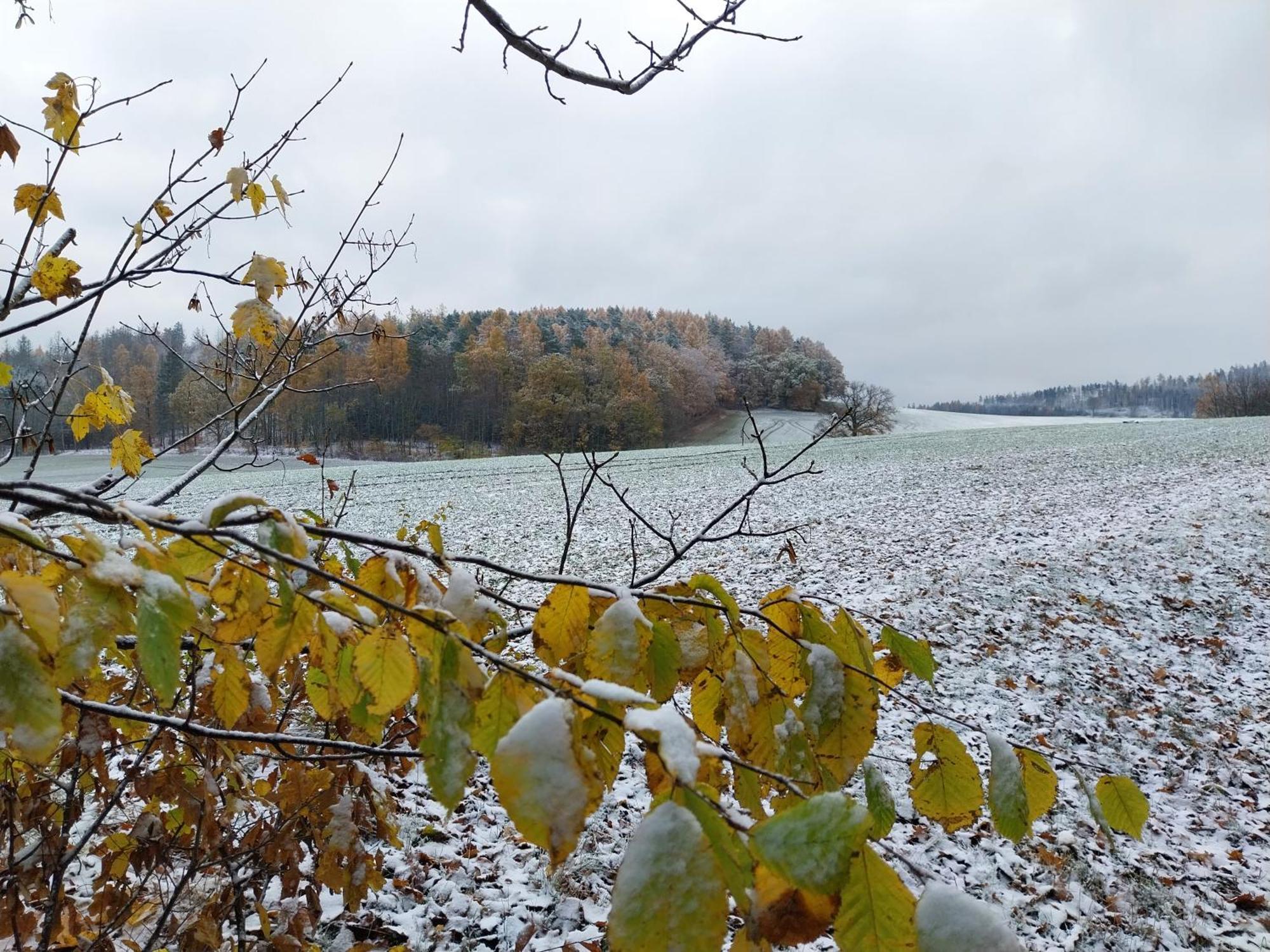 Landhotel Waldschloesschen Mit Gaststube Sohland an der Spree المظهر الخارجي الصورة