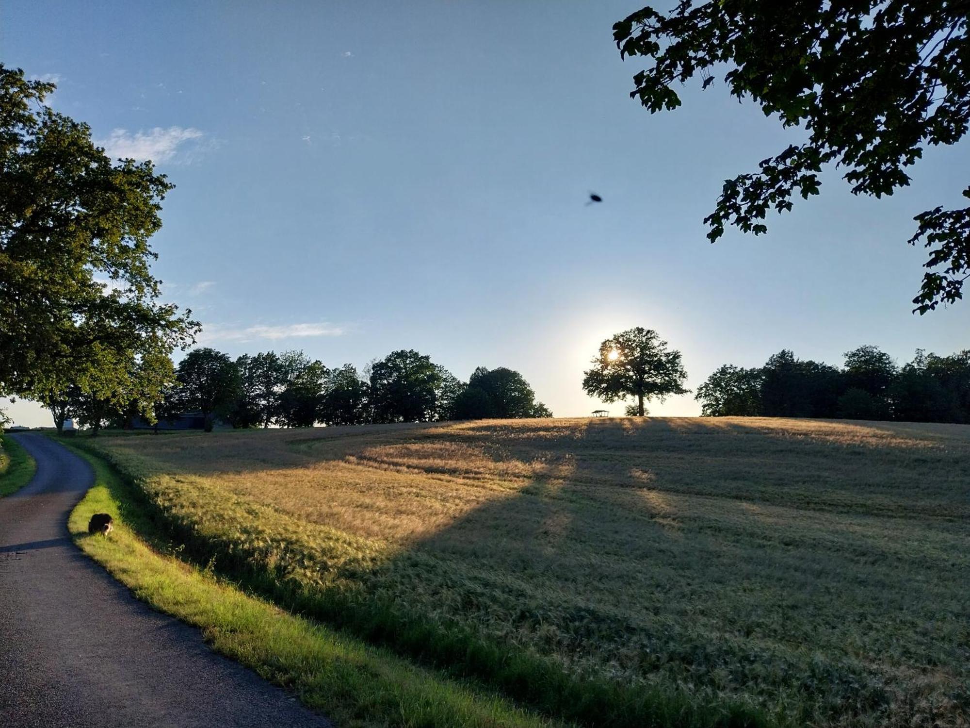 Landhotel Waldschloesschen Mit Gaststube Sohland an der Spree المظهر الخارجي الصورة